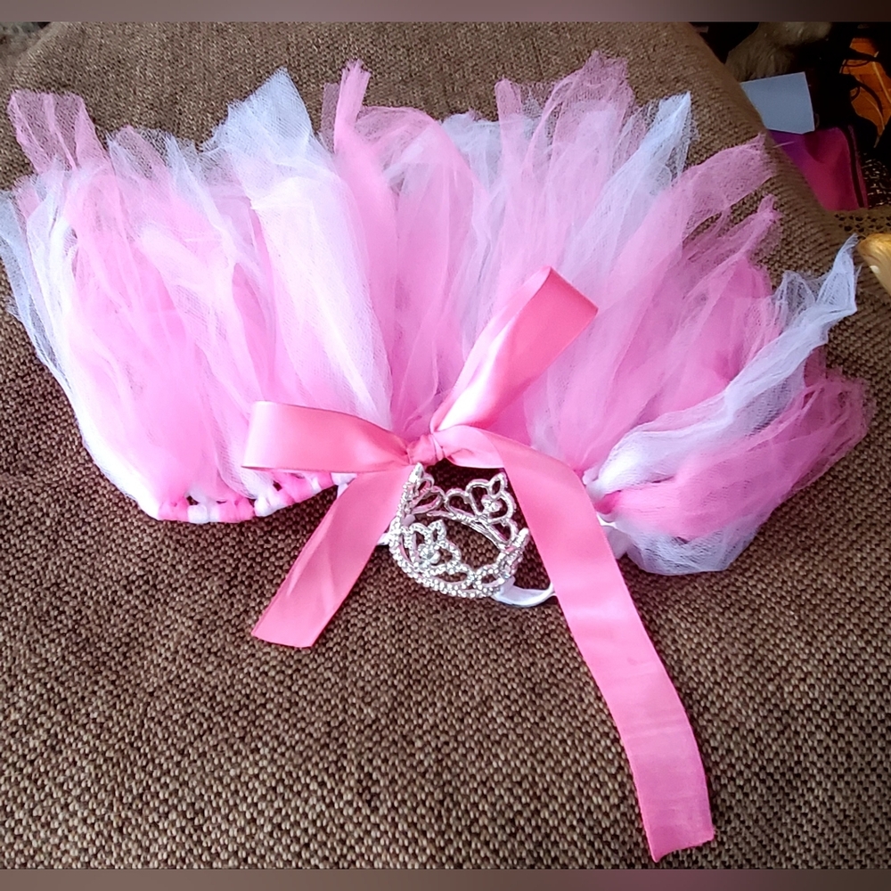 Pink Dog Tutu with Silver Crown Encrusted With Diamond Like Gems